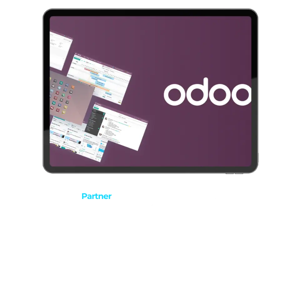 partner odoo murcia