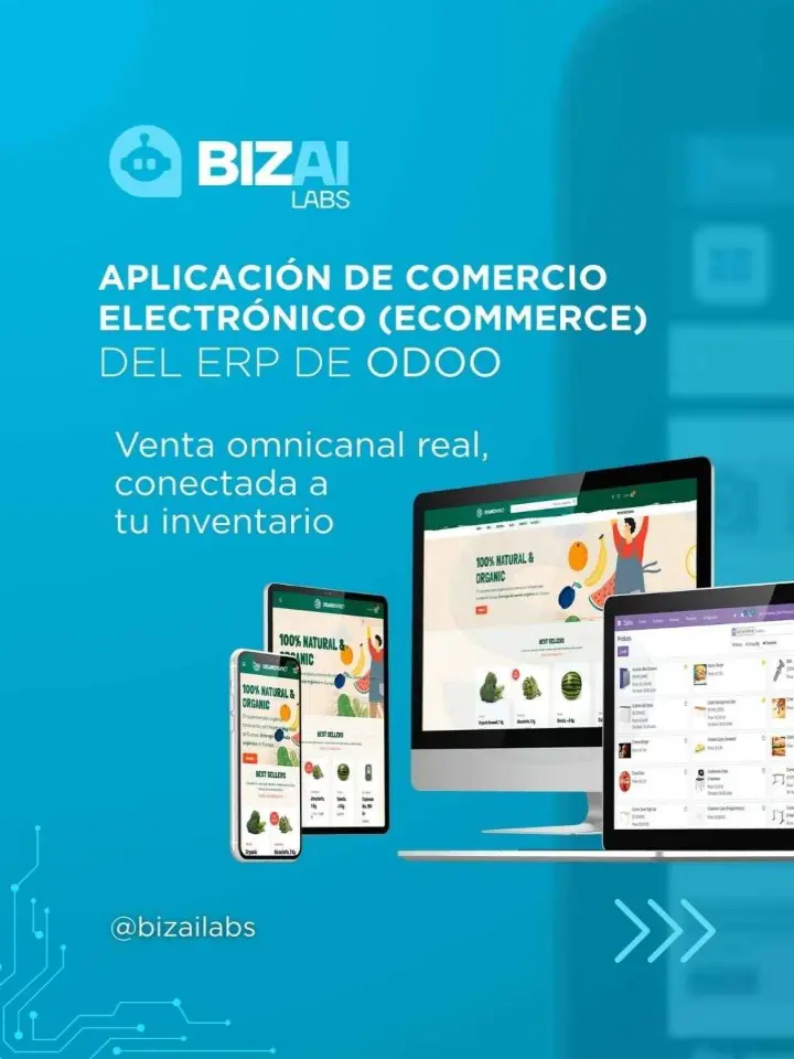 Aplicación de Comercio electrónico (eCommerce) del ERP de Odoo Aplicación de Comercio electrónico (eCommerce) del ERP de Odoo
