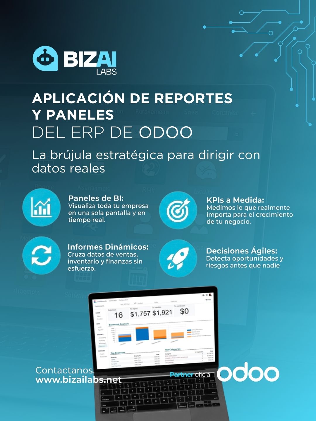 Aplicación de Reportes y paneles del ERP de Odoo