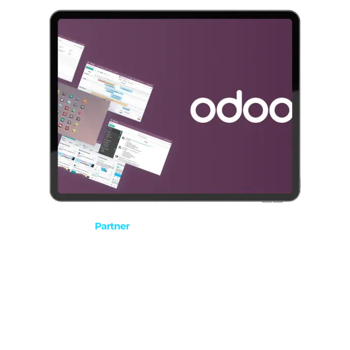 partner oficial odoo en lleida