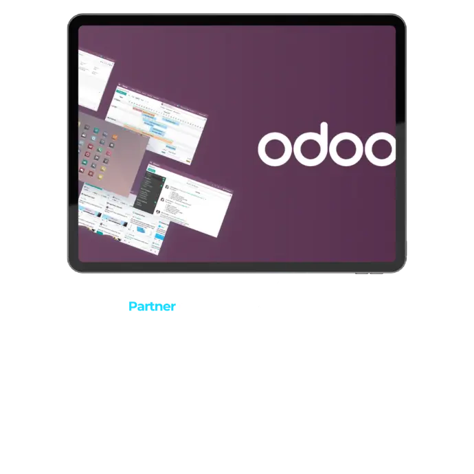 partner oficial odoo erp mallorca