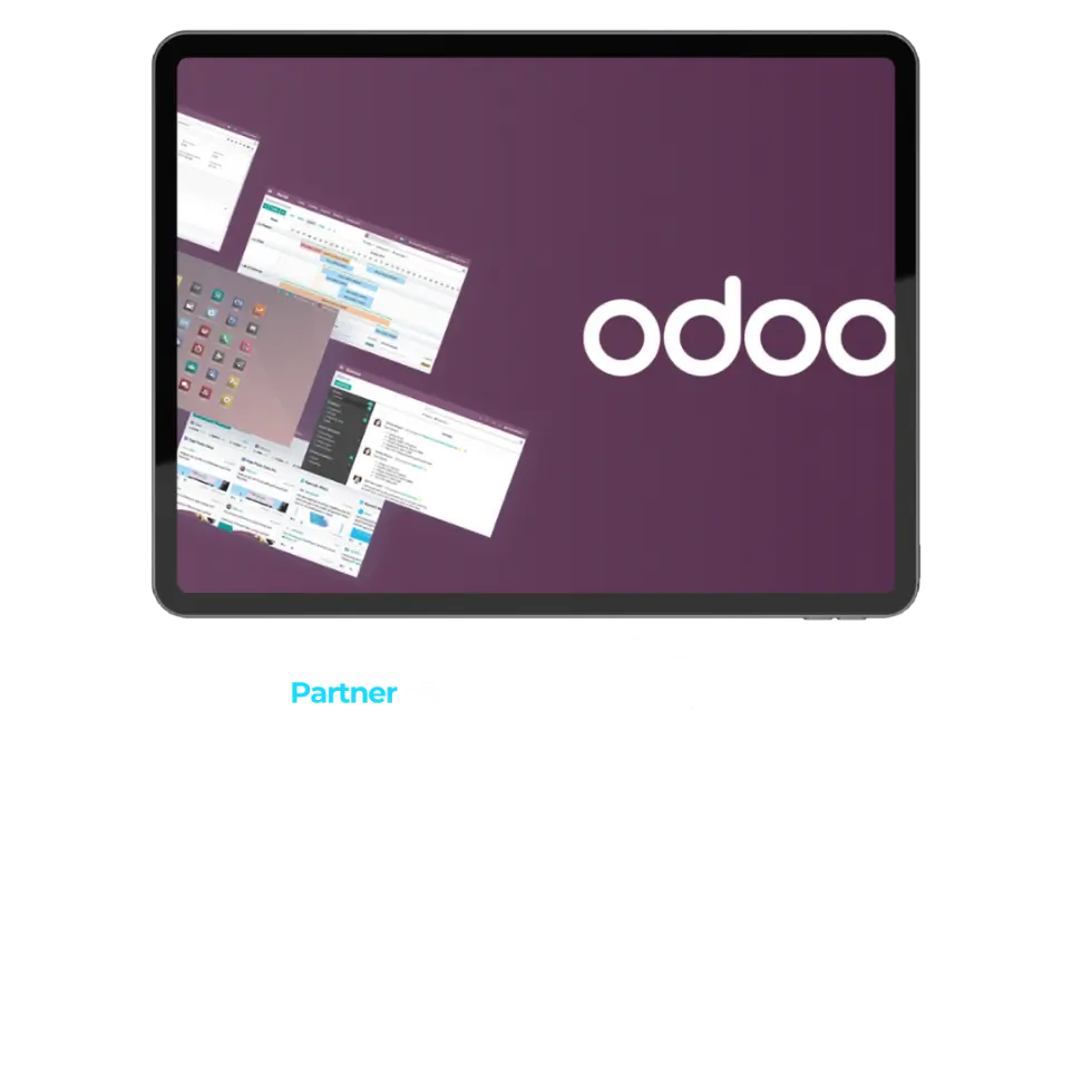 erp odoo baleares
