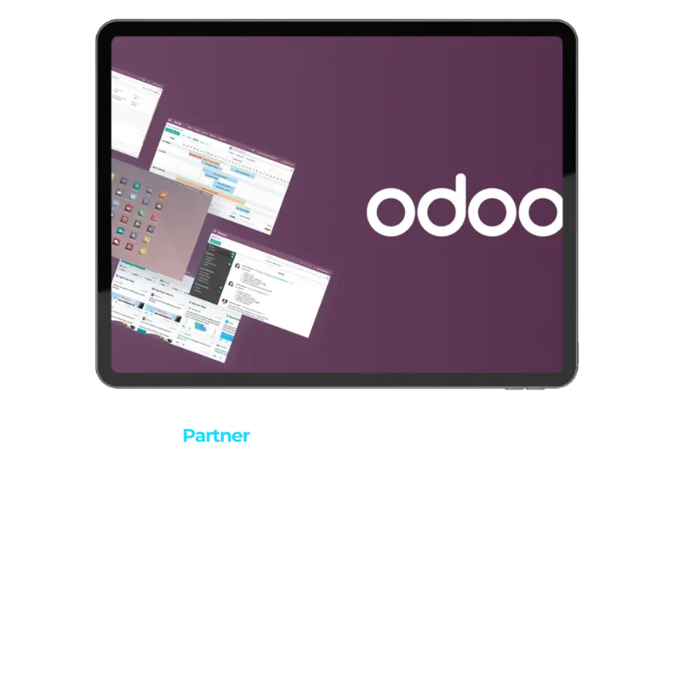 erp odoo baleares