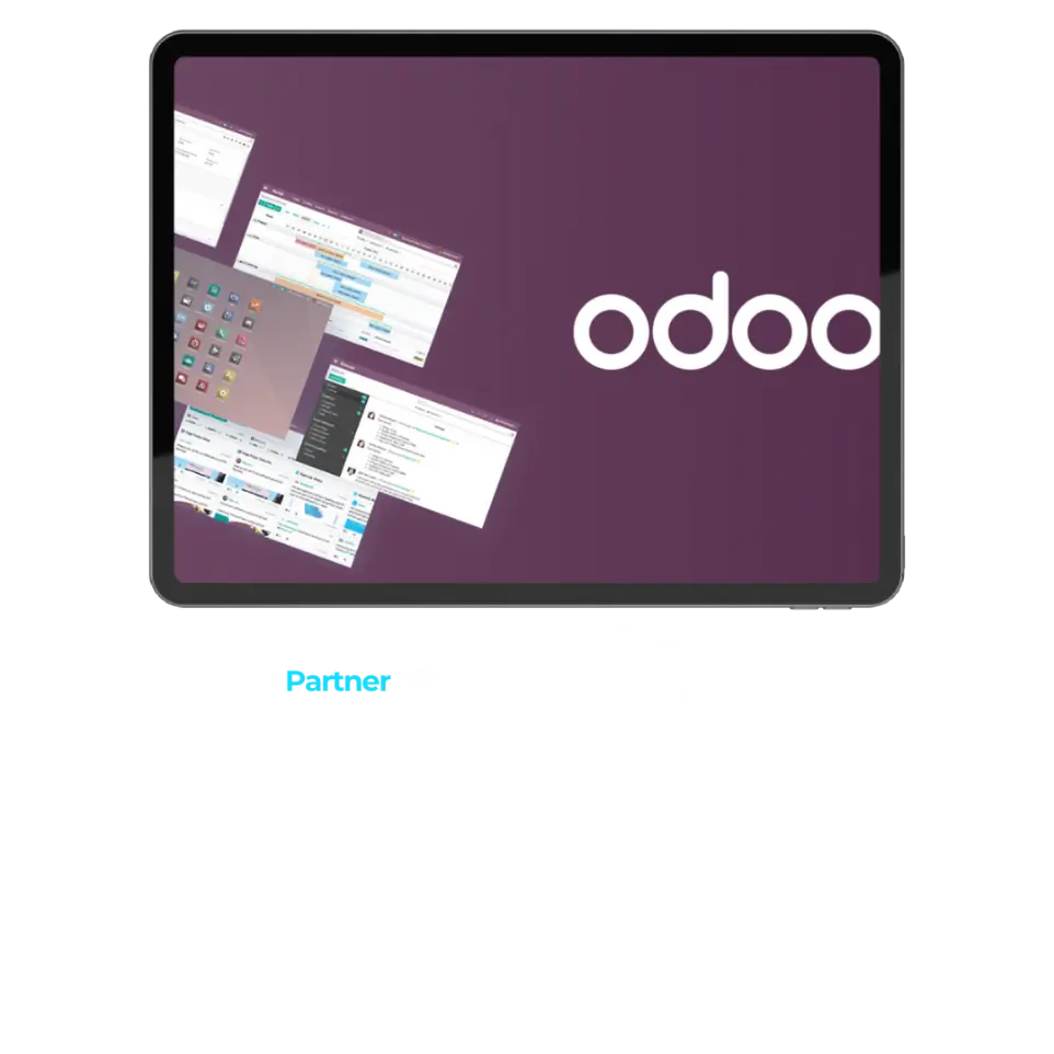 erp odoo baleares