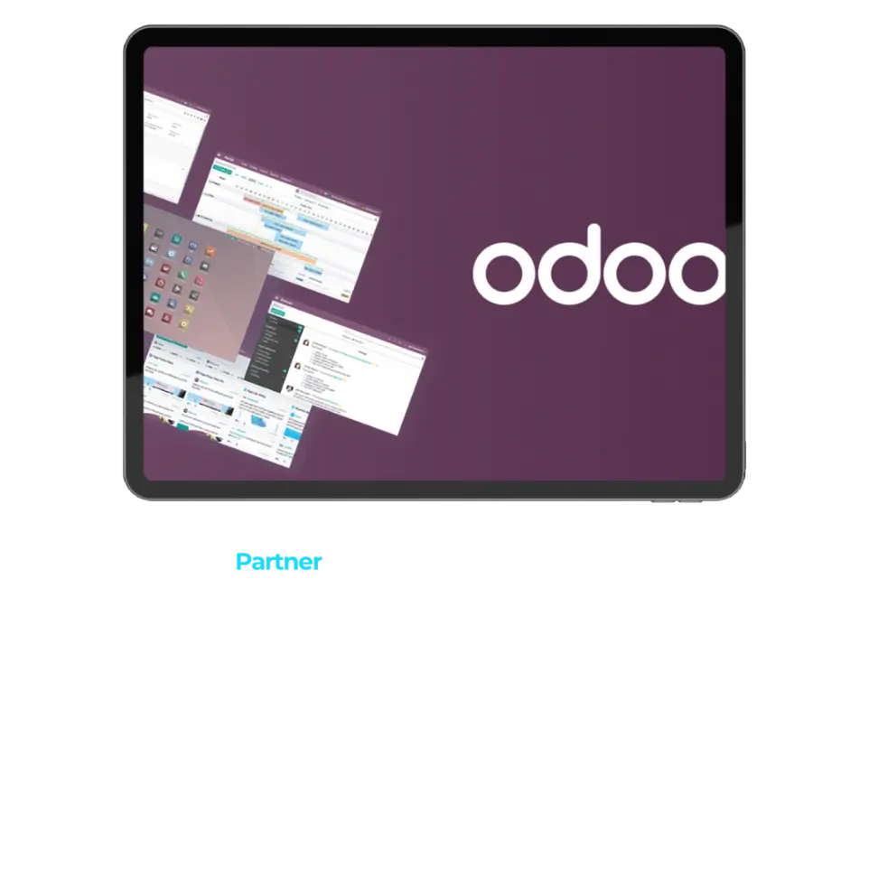 erp odoo baleares