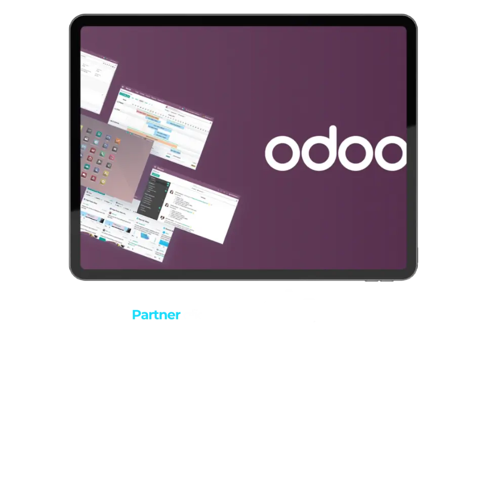 partner oficial odoo huesca