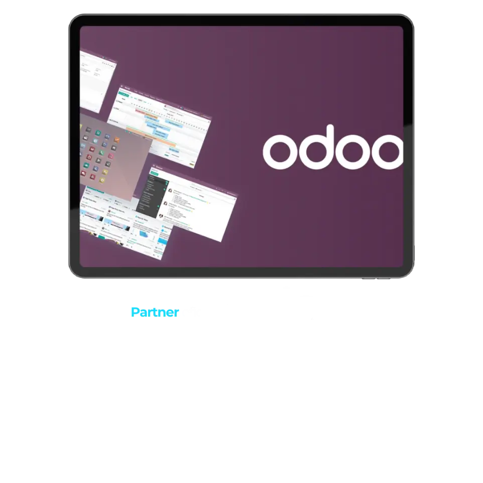 partner oficial odoo pais vasco