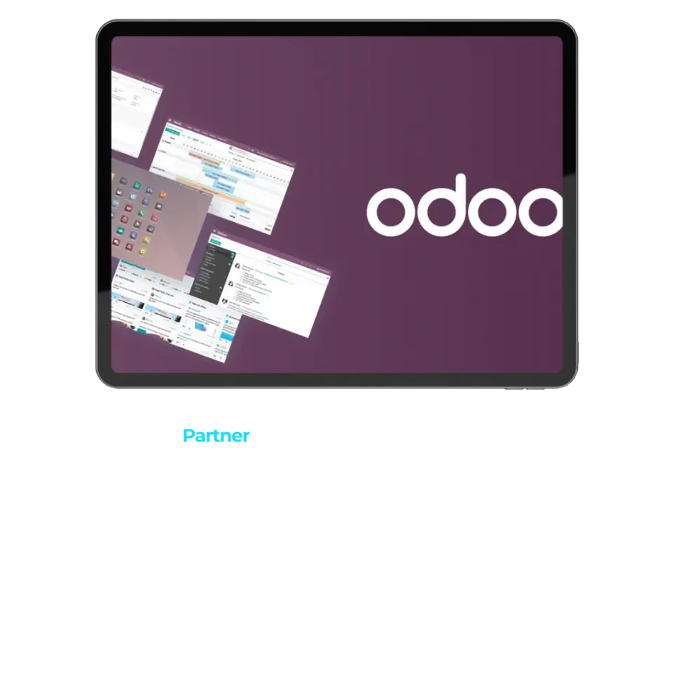 partner oficial odoo pais vasco