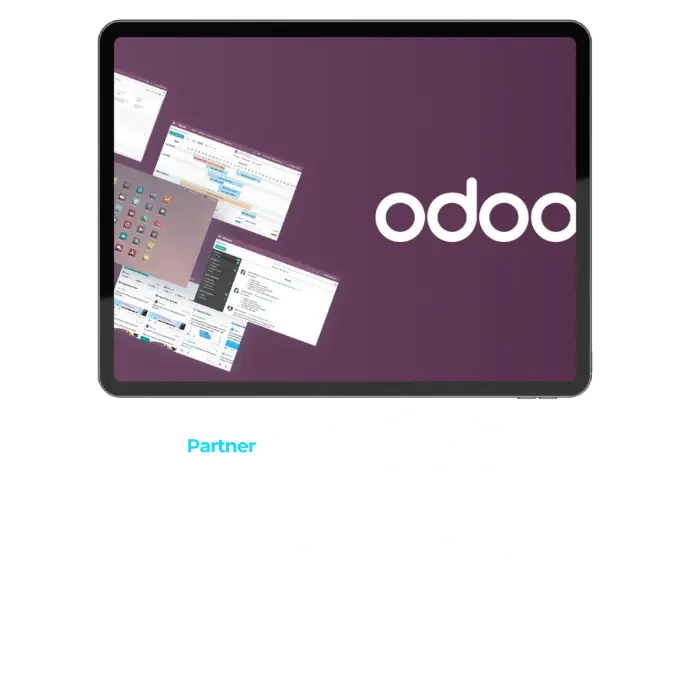 partner oficial odoo santander