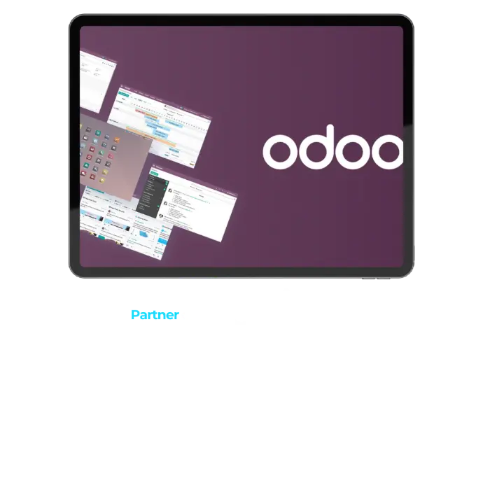 partner oficial odoo castellon