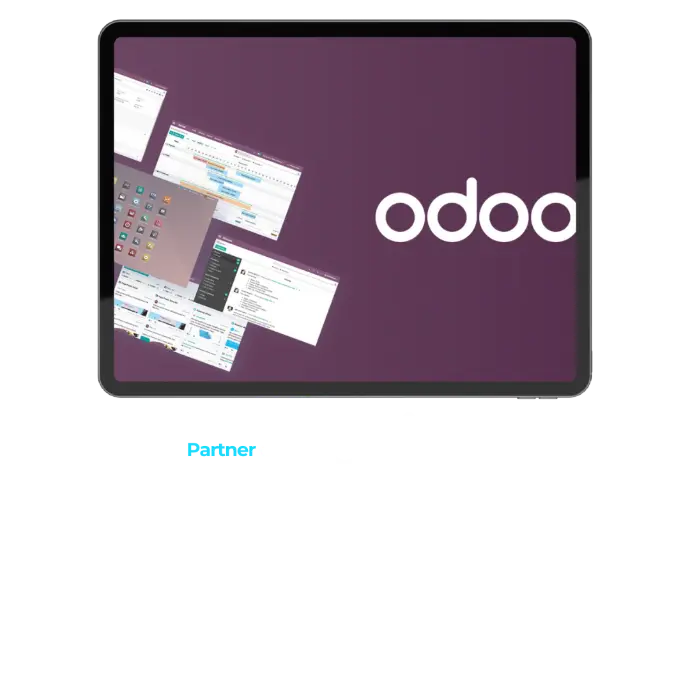 partner oficial odoo valencia