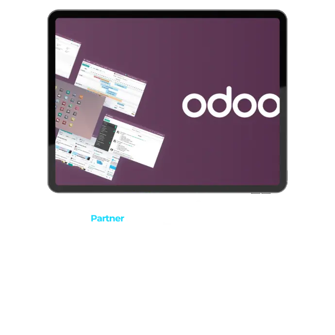partner odoo murcia