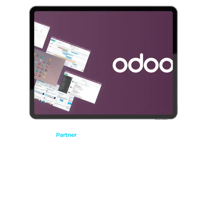 partner odoo badajoz