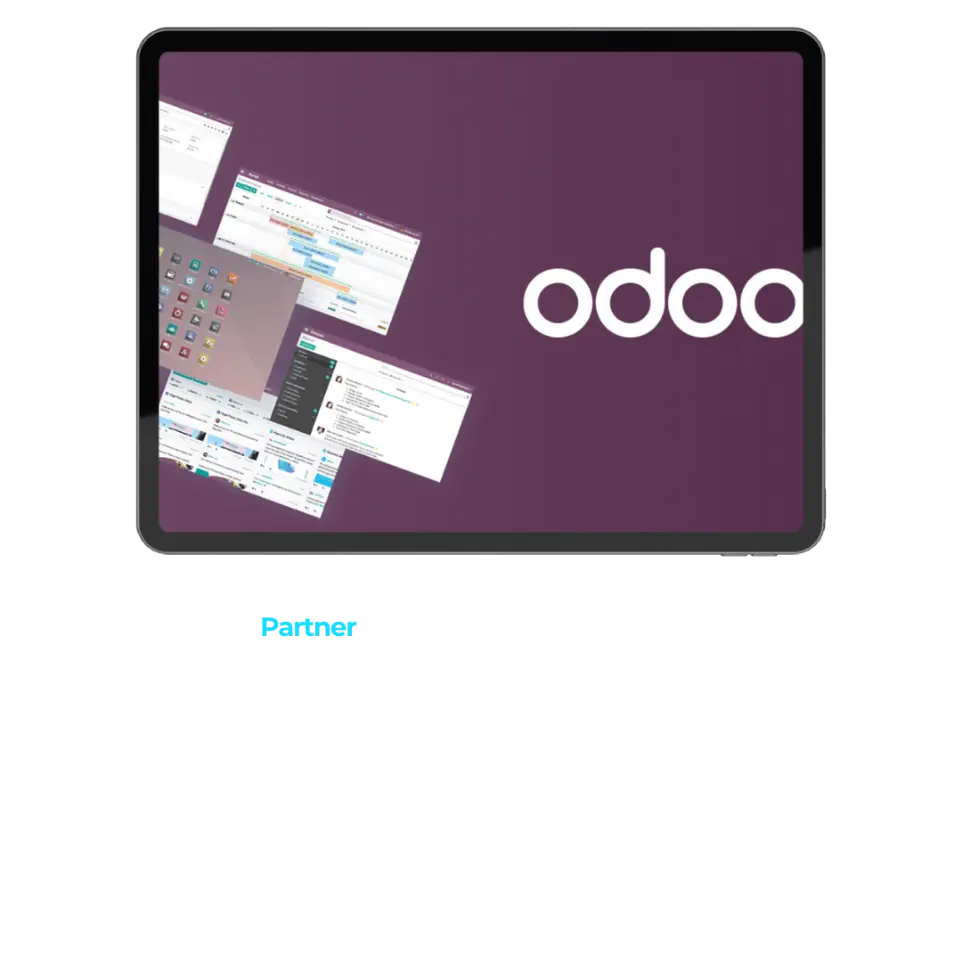 partner odoo logroño