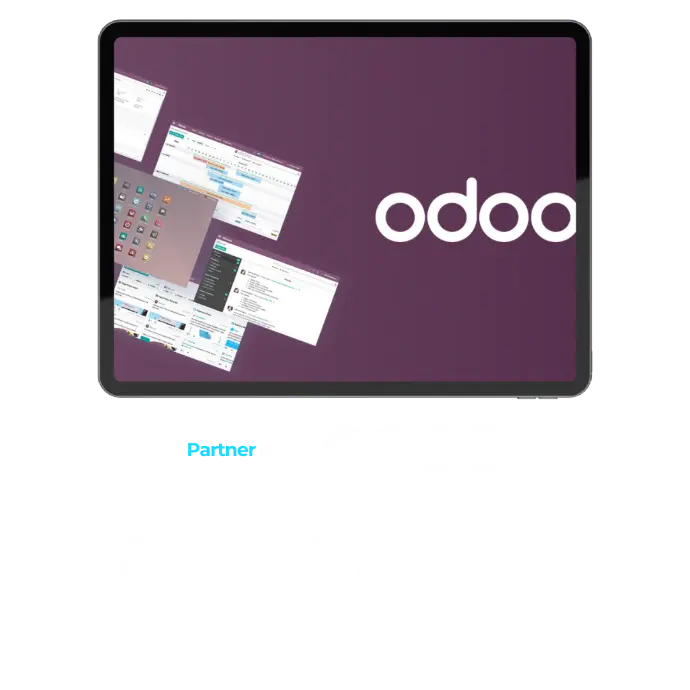 partner oficial odoo gran canaria