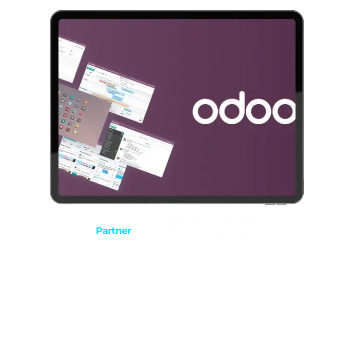 erp odoo fuerteventura