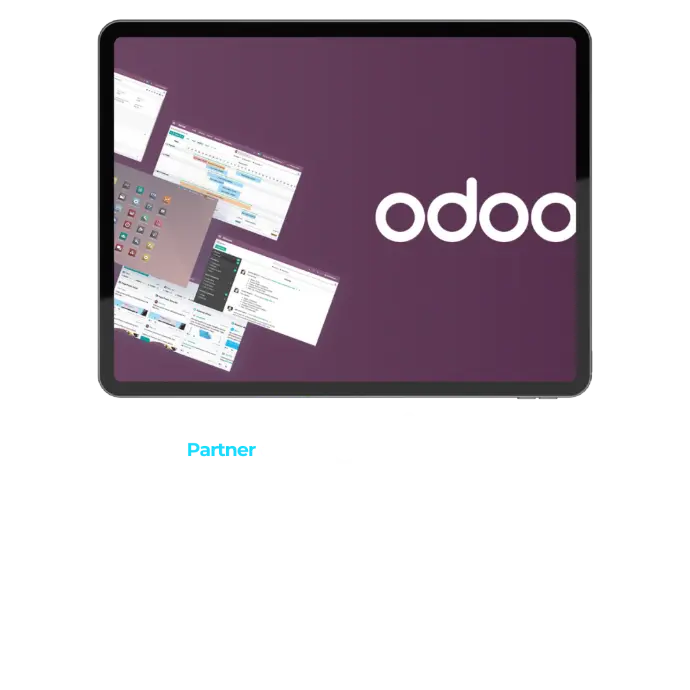 erp odoo la palma