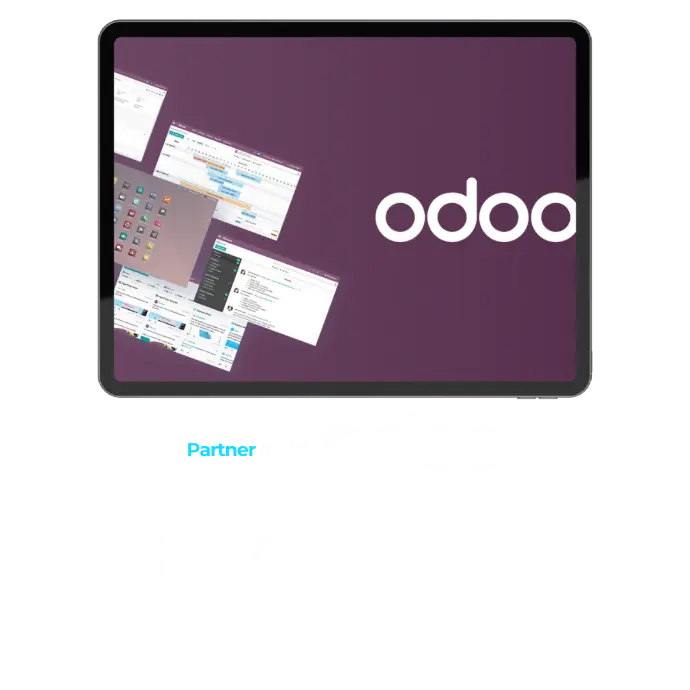 erp odoo la gomera