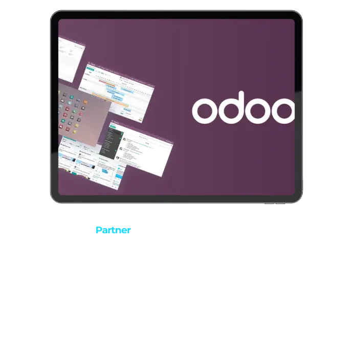 partner odoo avila