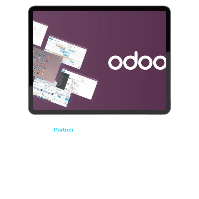 ERP odoo segovia