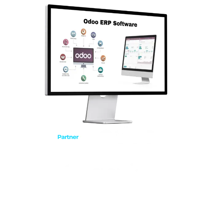 ERP odoo segovia
