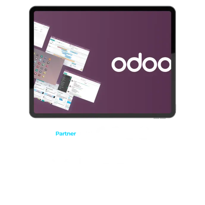 ERP odoo valladolid