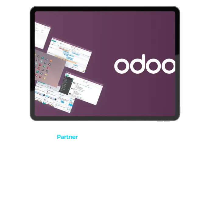 partner oficial odoo ciudad real